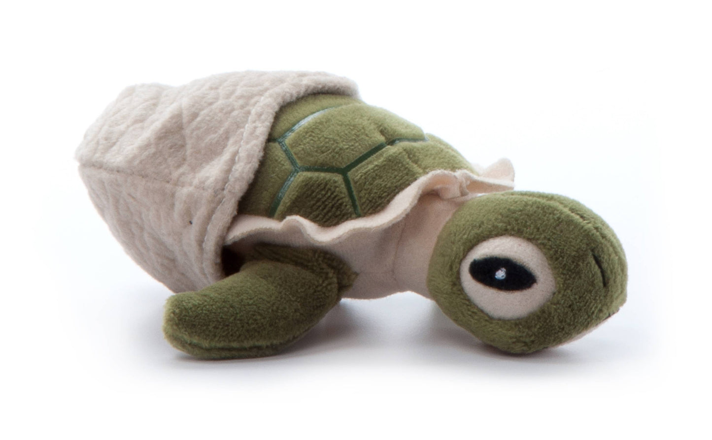 5" (12cm) Hatchling Baby Turtle Sea Life