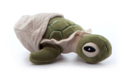 5" (12cm) Hatchling Baby Turtle Sea Life