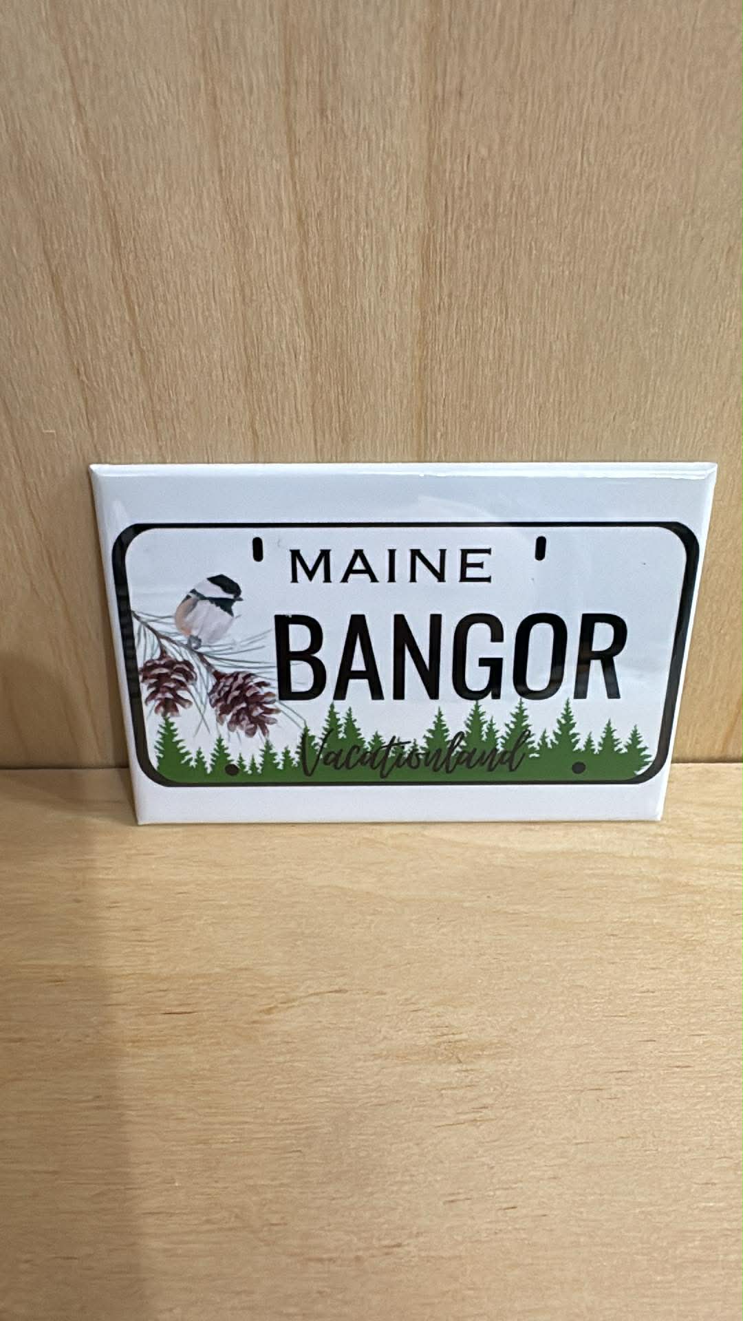 Maine Variety Rectangle Magnets