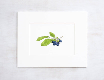 Blueberries Botanical Watercolor Print, Botanical Watercolor