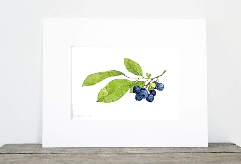 Blueberries Botanical Watercolor Print, Botanical Watercolor