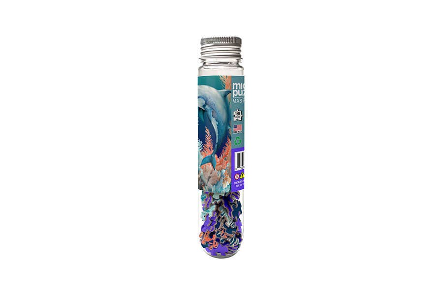 Dolphin - Marine Life