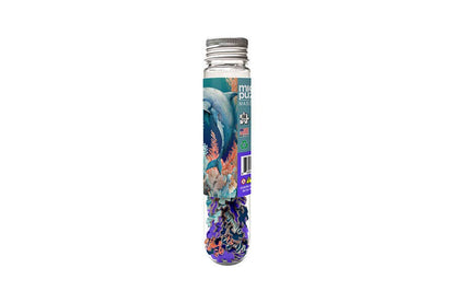 Dolphin - Marine Life