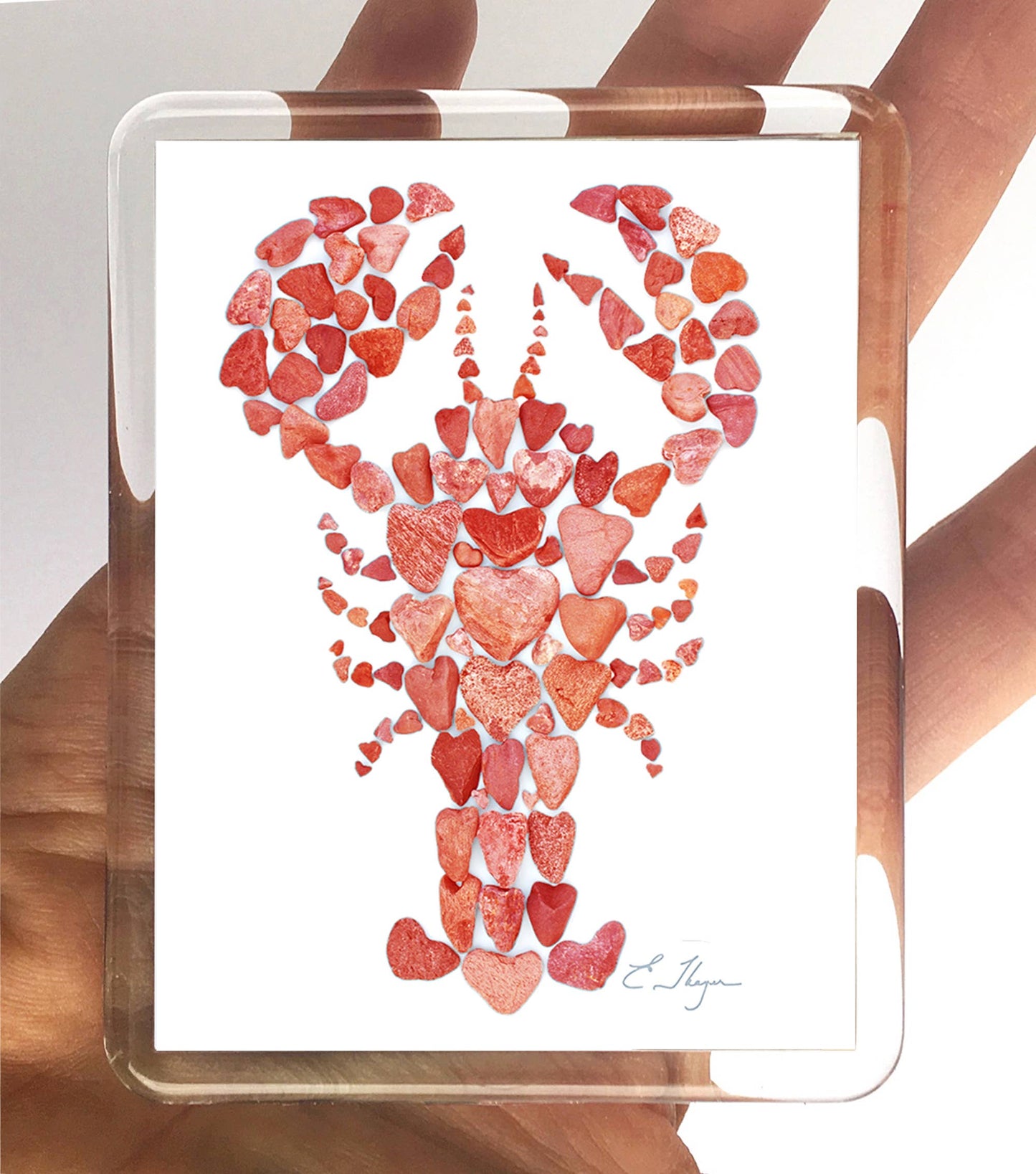 Red Lobster magnet