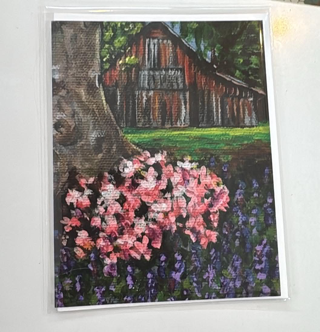 Jan Cook Cards