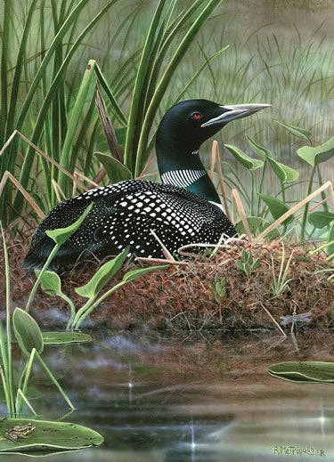 Maine Loon 1000-Piece Puzzle