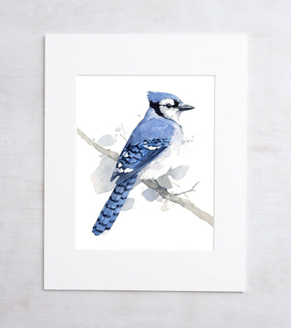 Blue Jay Print, Bird Watercolor Painting Art Print