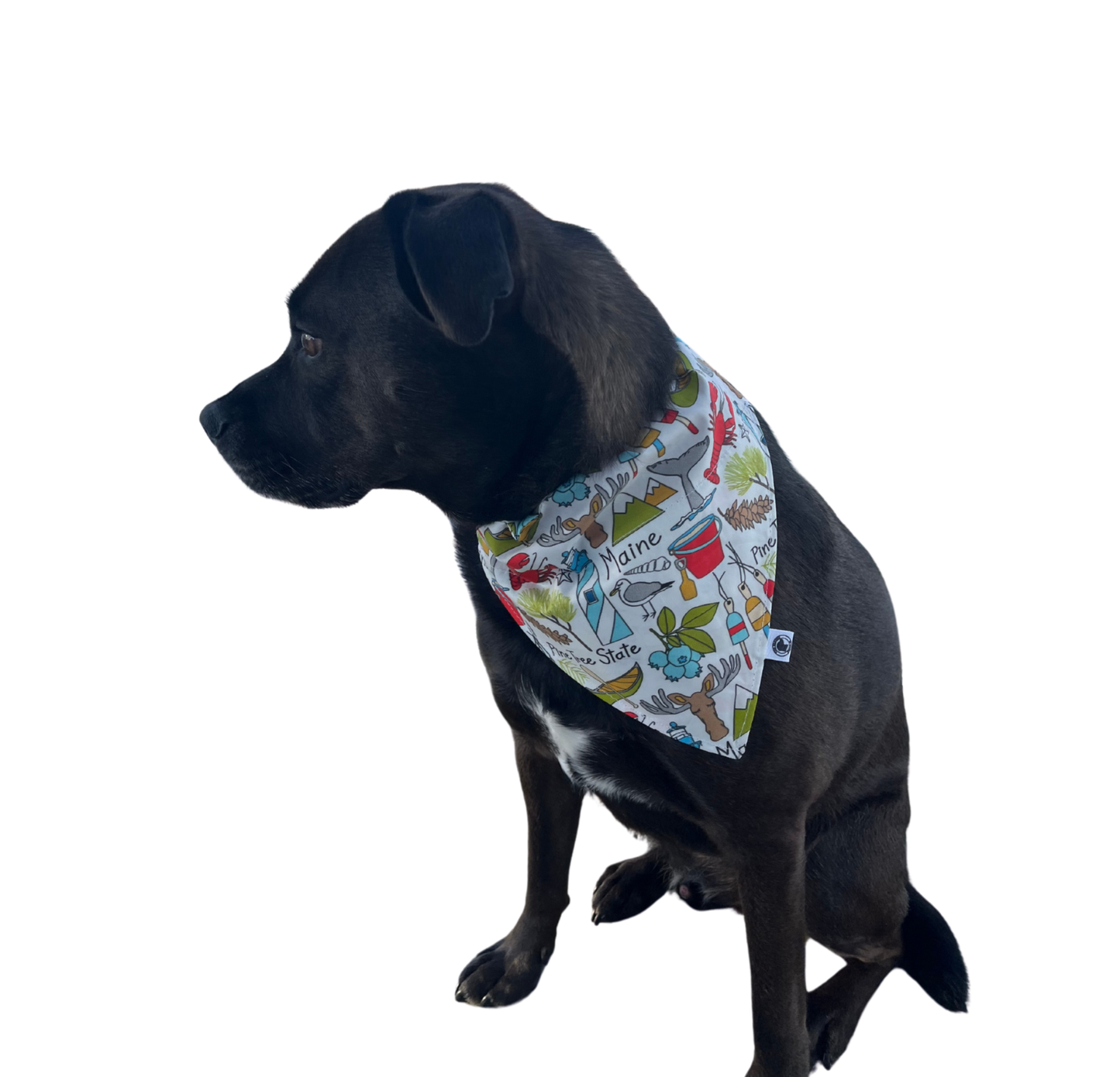 Pine Tree State Maine Bandana