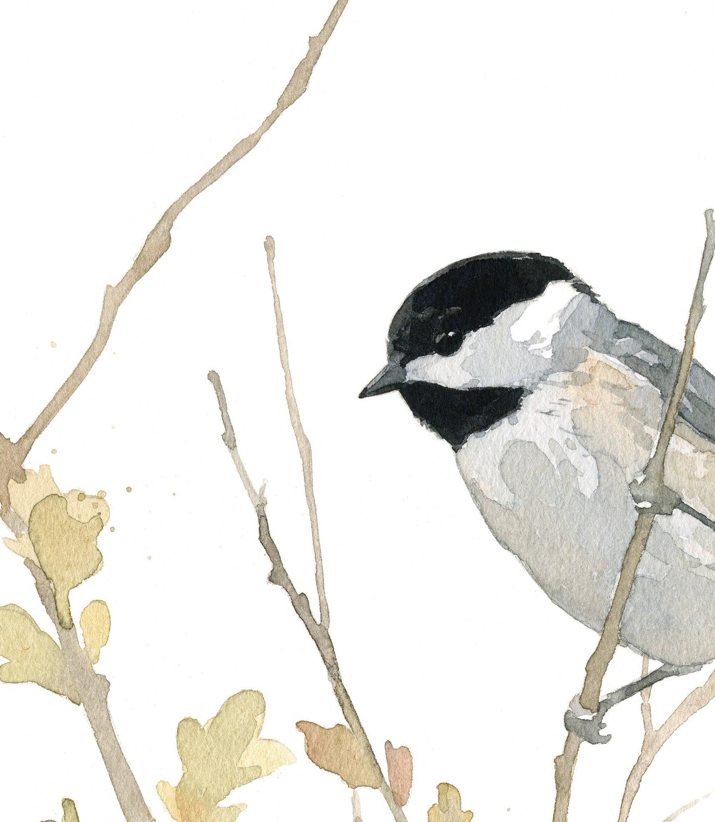 Chickadee Watercolor Print, Bird Painting