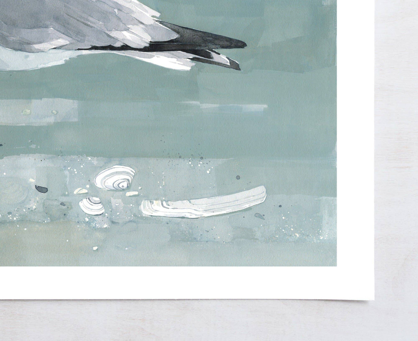 Herring Gull Beach Print, Large Seagull Nautical Bird Art