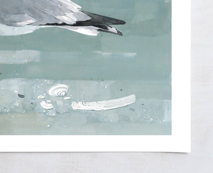 Herring Gull Beach Print, Large Seagull Nautical Bird Art