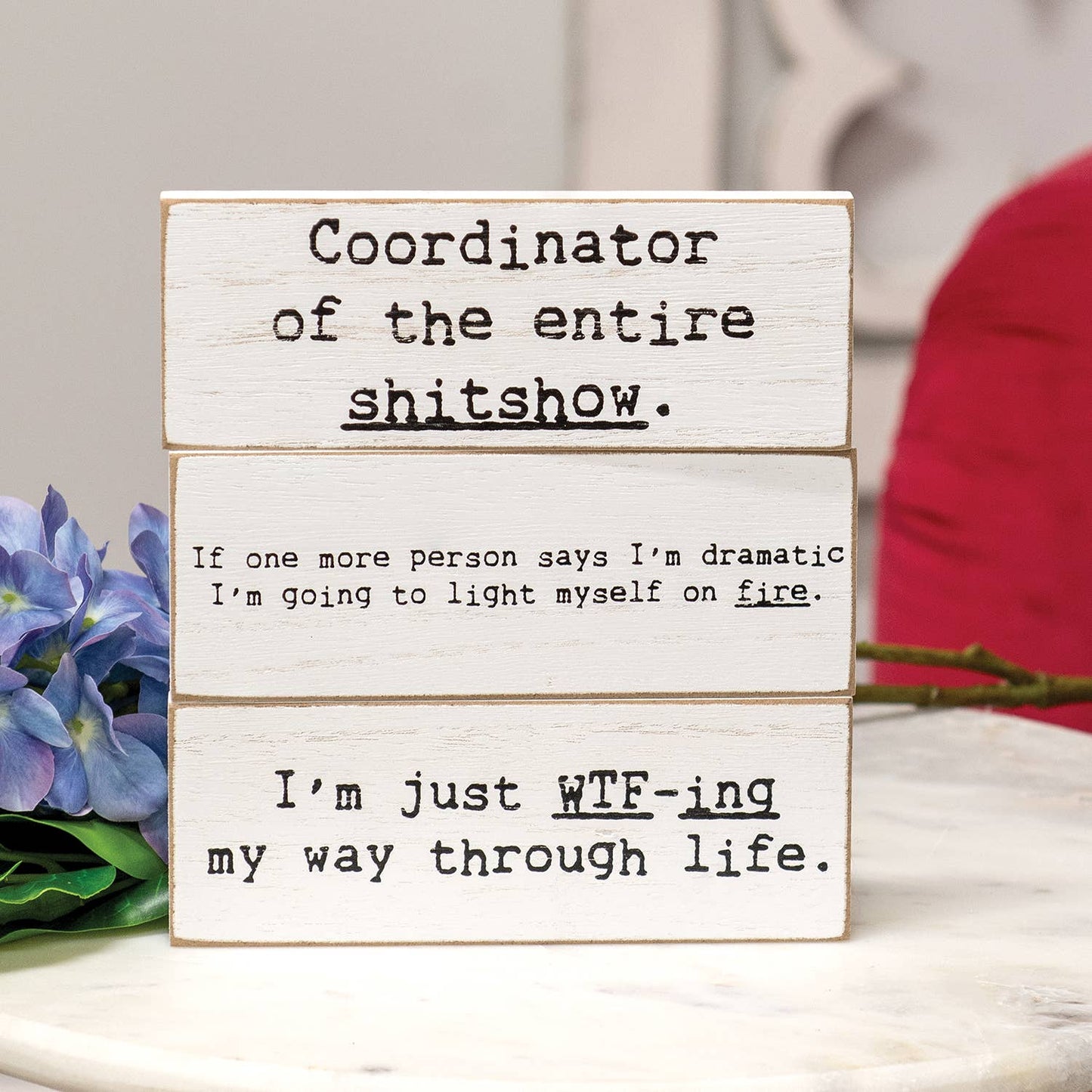 Snarky Decor Blocks