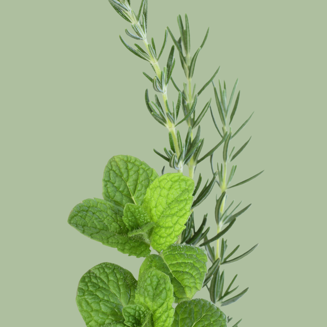 Rosemary Mint Lip Balm (Vegan)