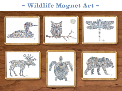 Coastal magnets | Turtle magnets