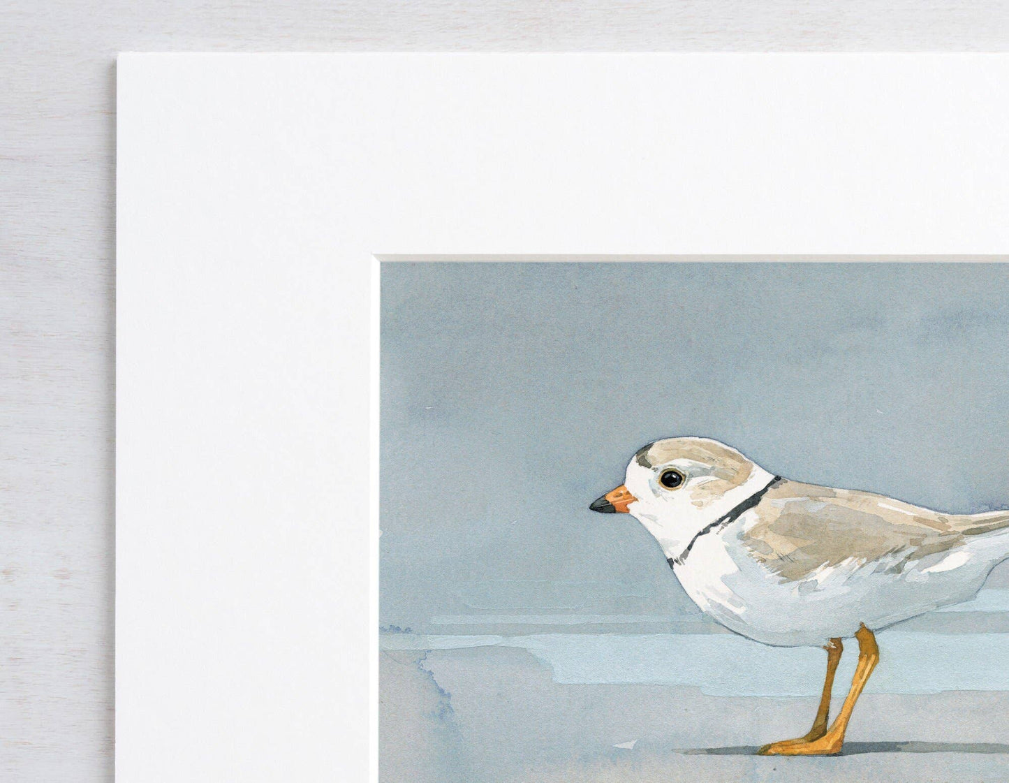 Piping Plover Beach Art Print, Coastal Décor