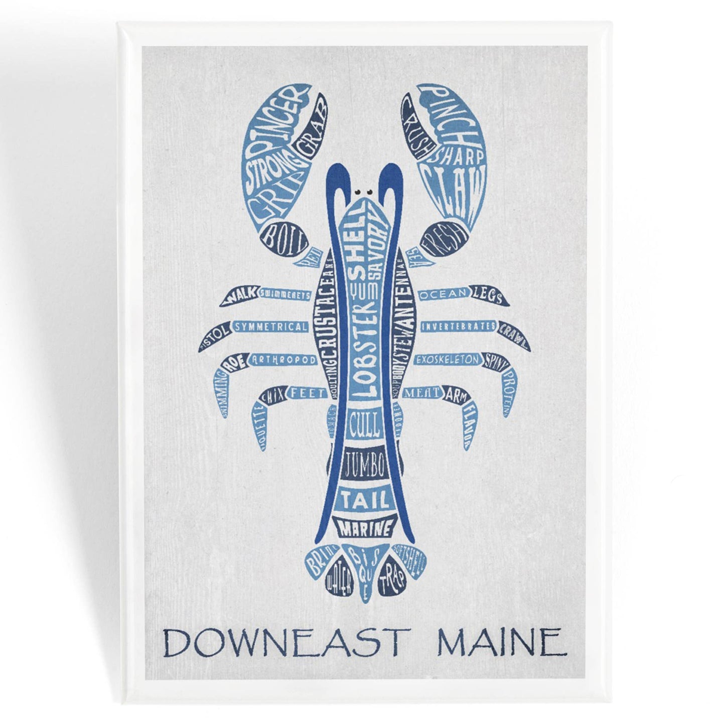 MAGNET Maine, Blue Lobster, Typography