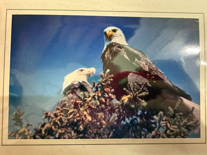 Maine Greeting Cards