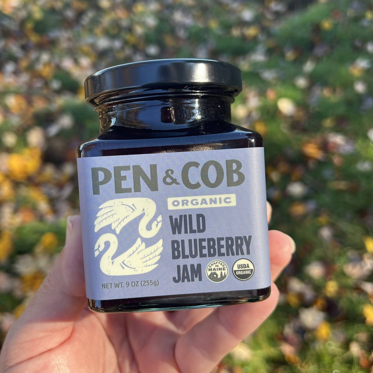 Maine WILD BLUEBERRY JAM | Organic | Locally sourced | Small batch