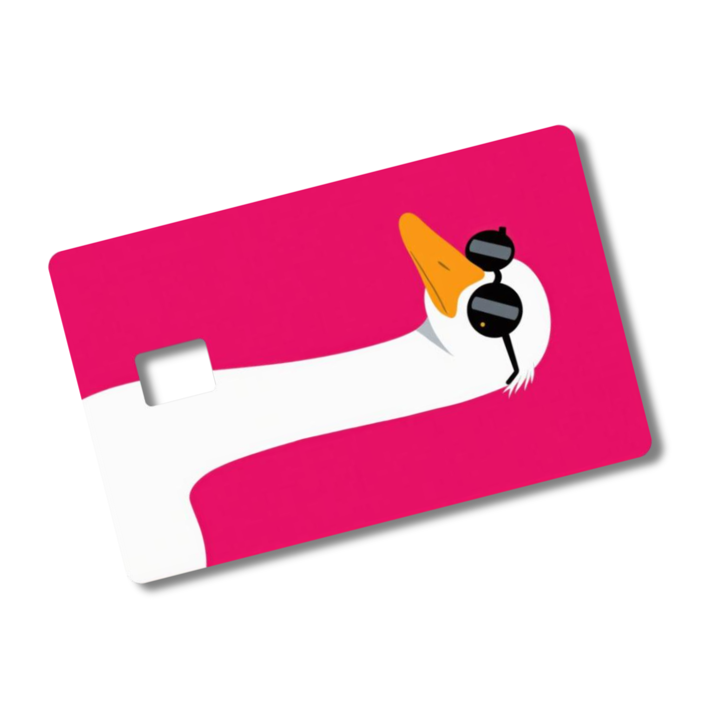Whimsical Credit Card Skins