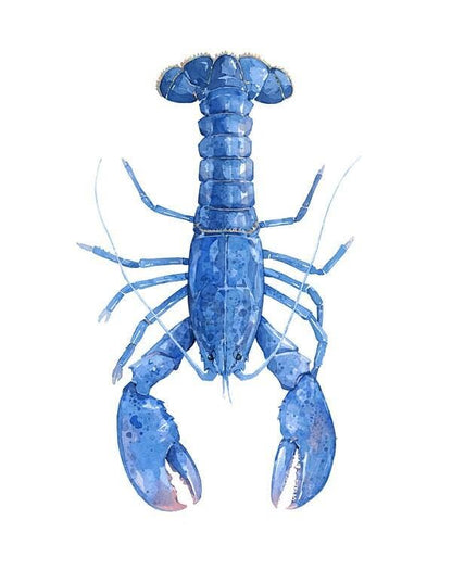 Blue Lobster Watercolor Print, Nautical New England Wall Art