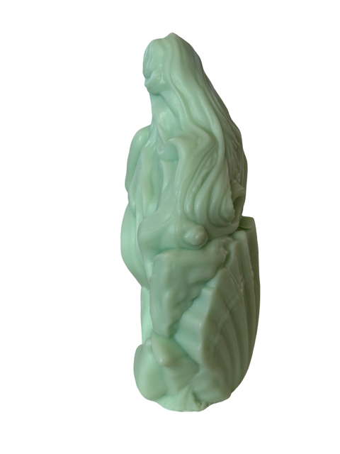 Full Body Mermaid Bar of Soap