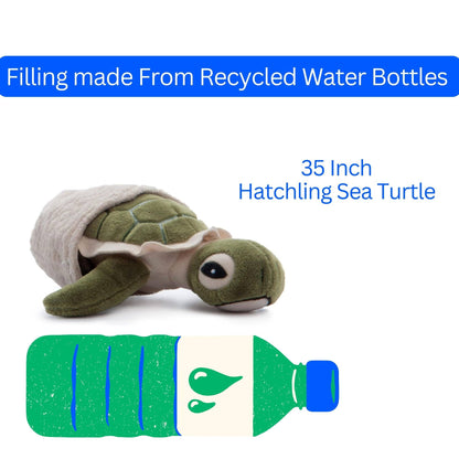 5" (12cm) Hatchling Baby Turtle Sea Life
