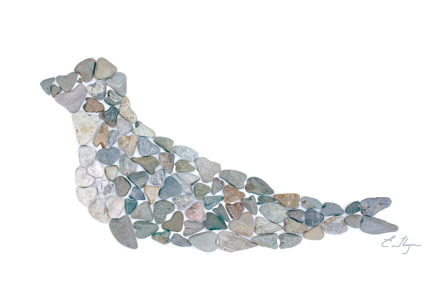 Coastal art | Seal art print