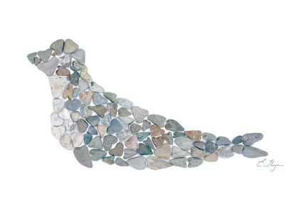 Coastal art | Seal art print