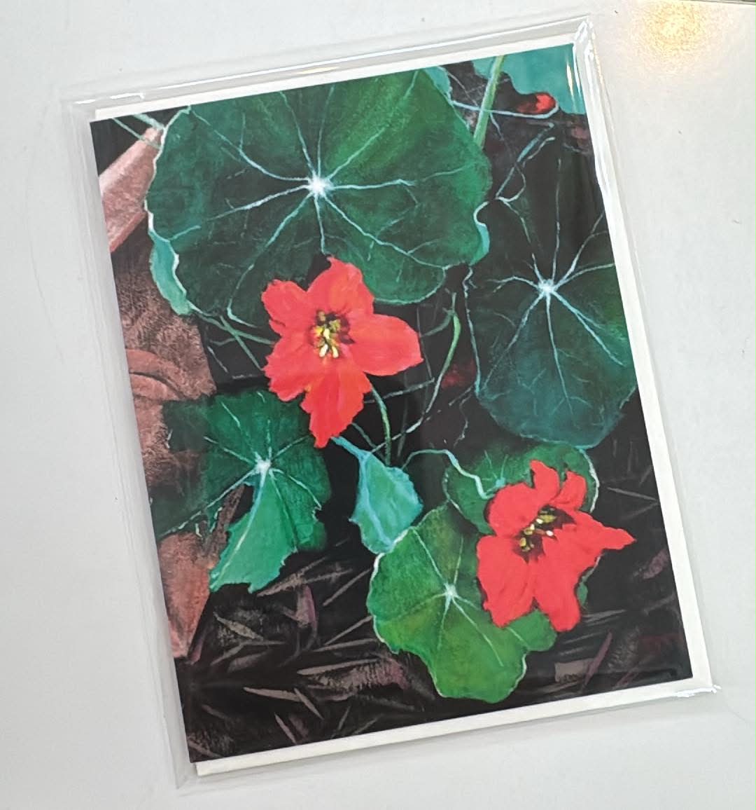 Jan Cook Cards