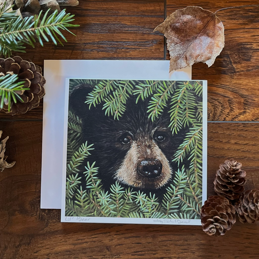 Lil' Bear fine art blank greeting card Maine