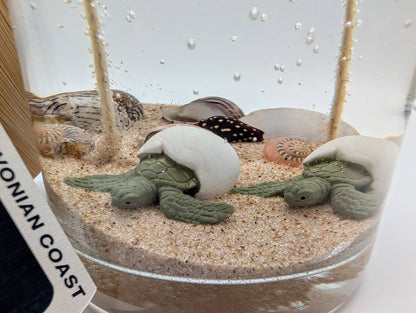 Sea Turtle Hatchling Ocean Gel Candle