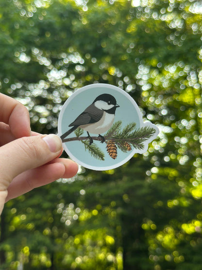 Maine Chickadee Sticker | Wildlife + Birds