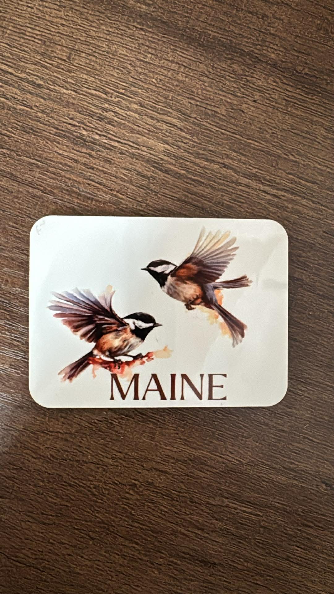 Maine Chickadee Magnet