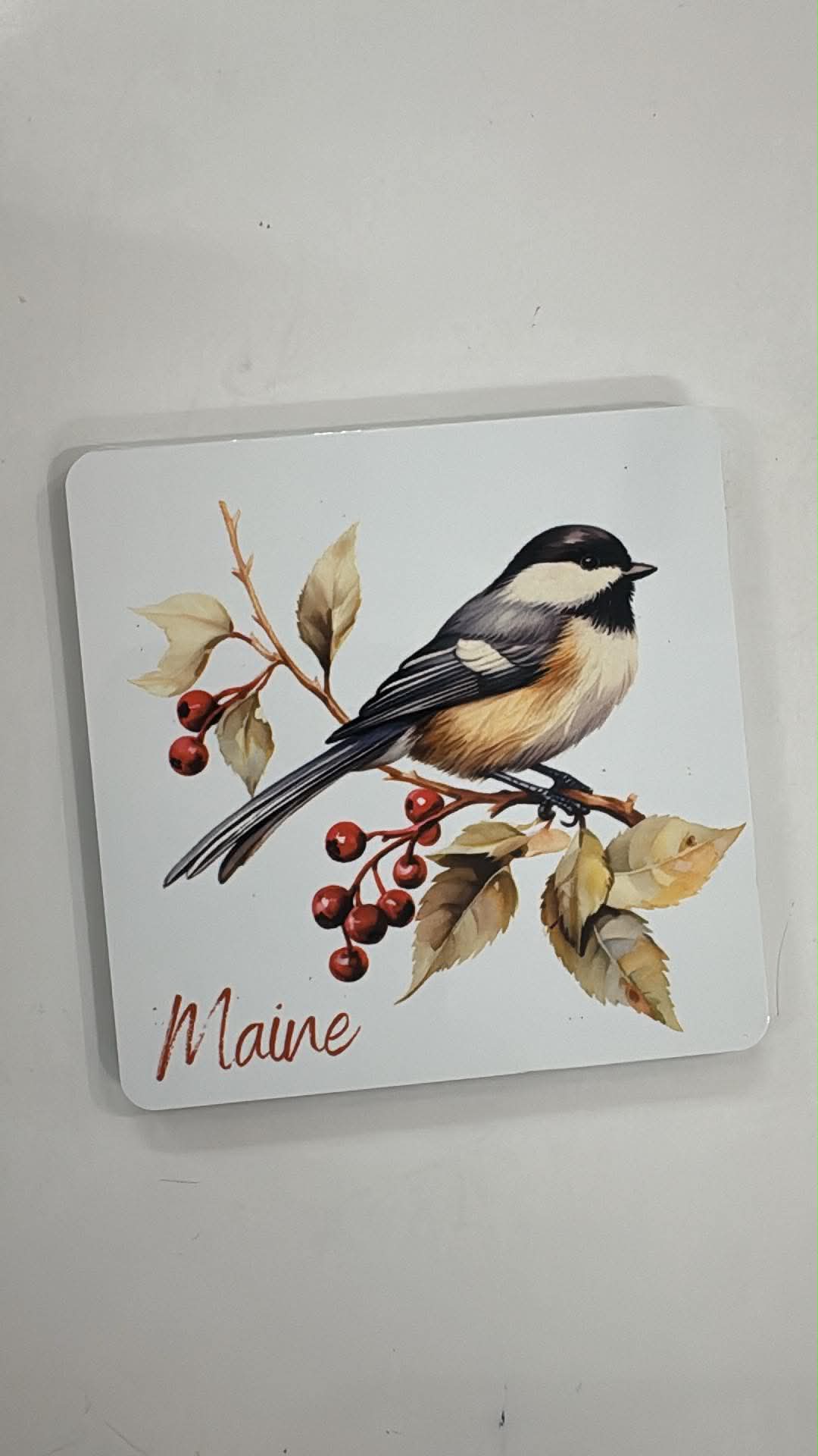 Maine Themed Magnets