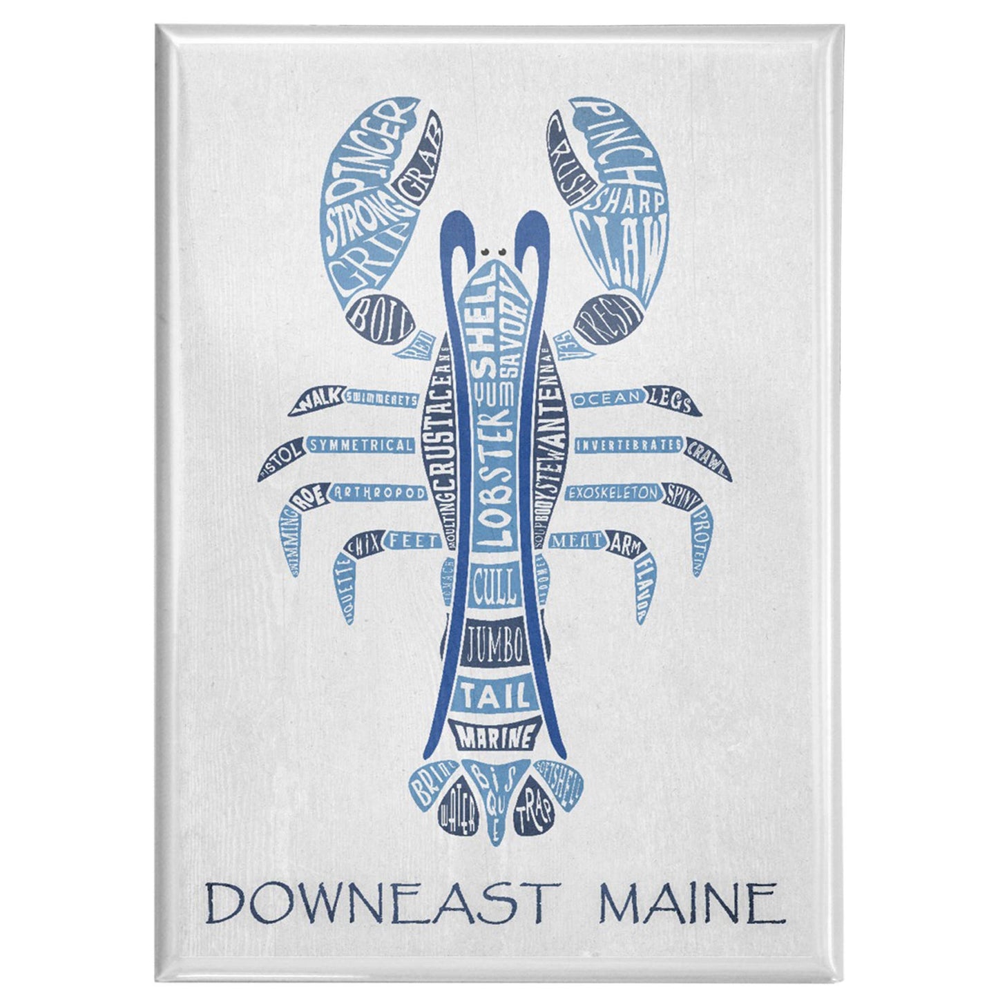 MAGNET Maine, Blue Lobster, Typography