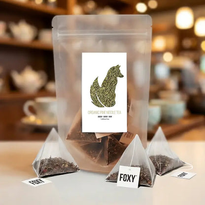 Single Serve Hand-Packed Loose Leaf Tea Pyramid