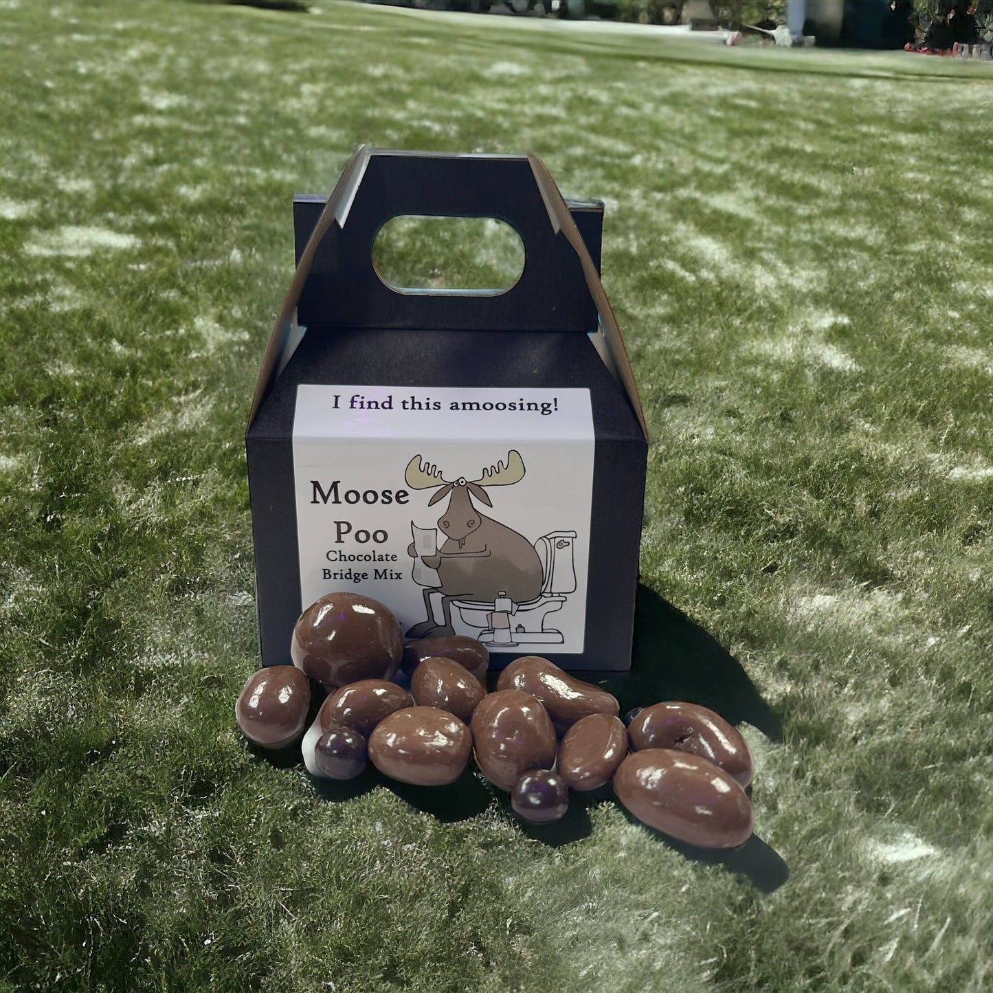 Moose Poo - Chocolate Bridge Mix