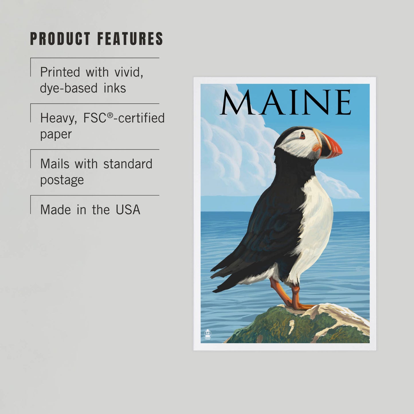 PREMIUM POSTCARDS Maine, Puffin on Rock Scene