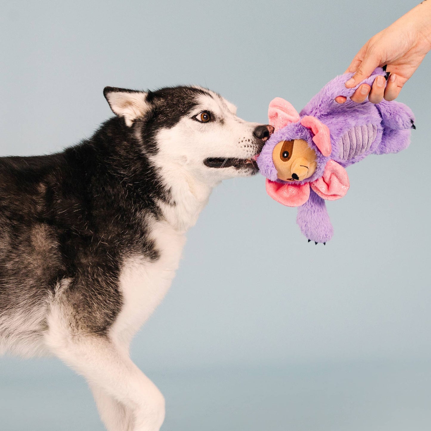 I'll GROW ON YOU dog Toy
