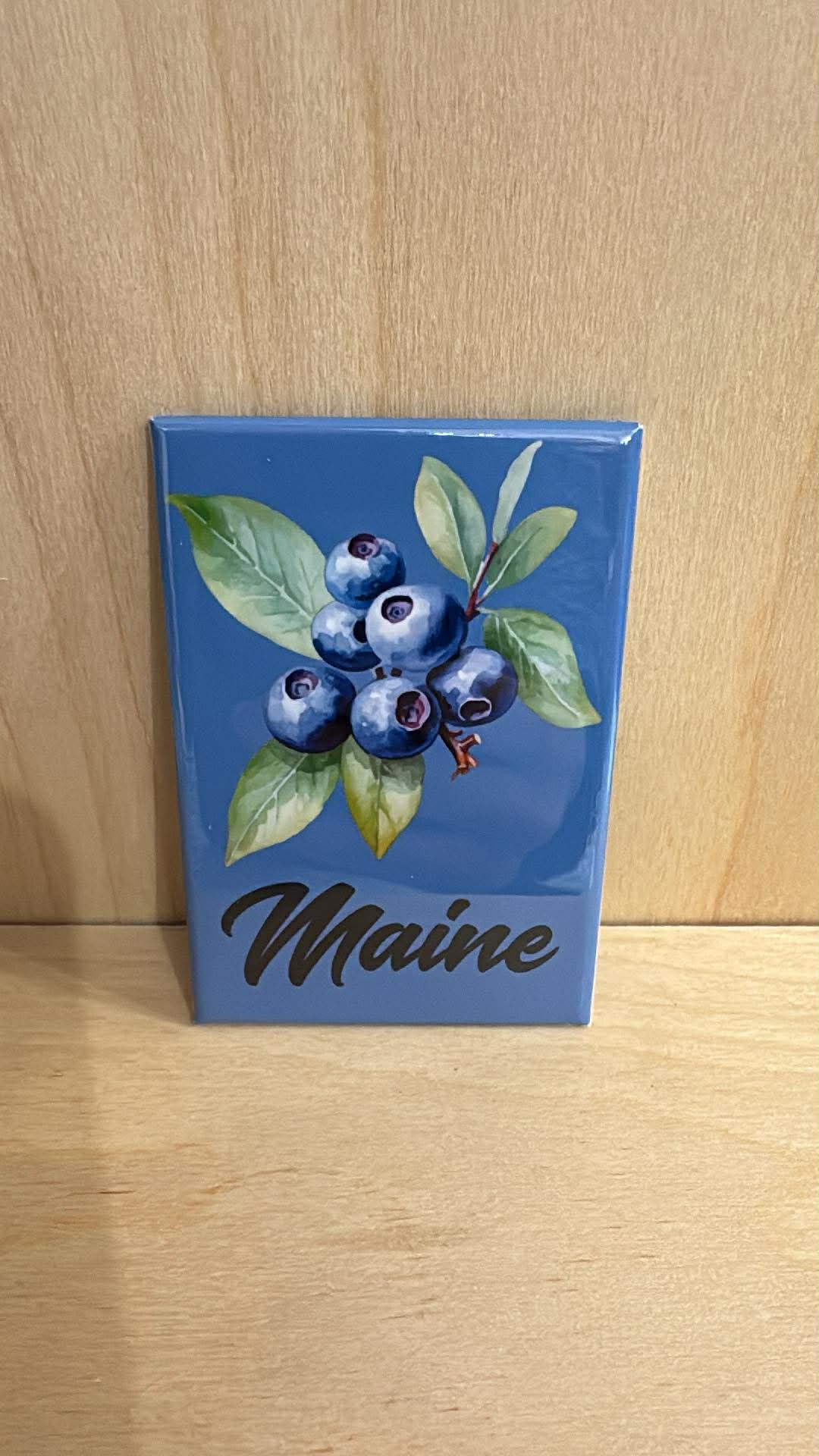 Maine Variety Rectangle Magnets