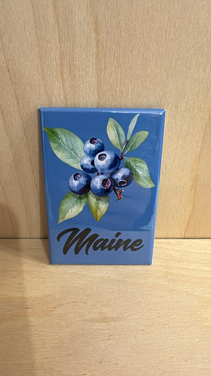 Maine Variety Rectangle Magnets