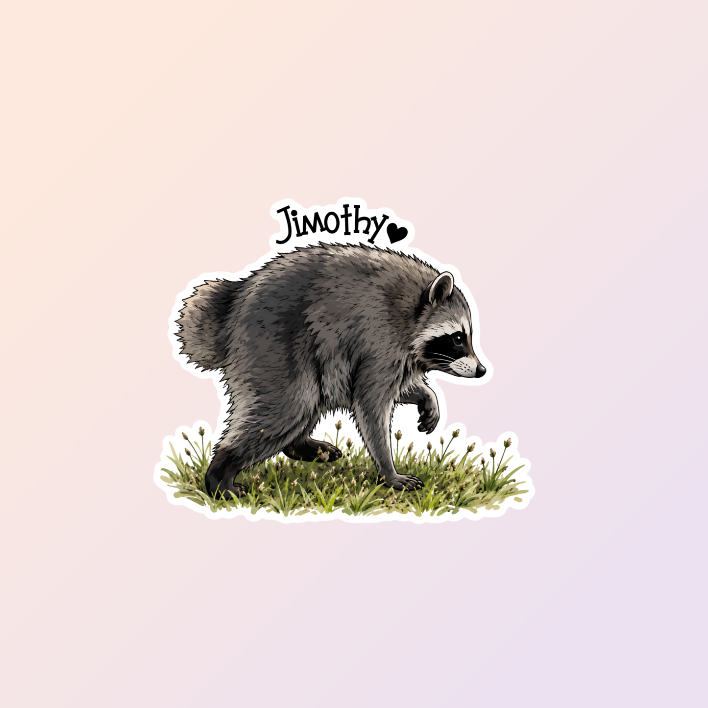 Jimothy The Raccoon Stickers, Viral Seattle Raccoon