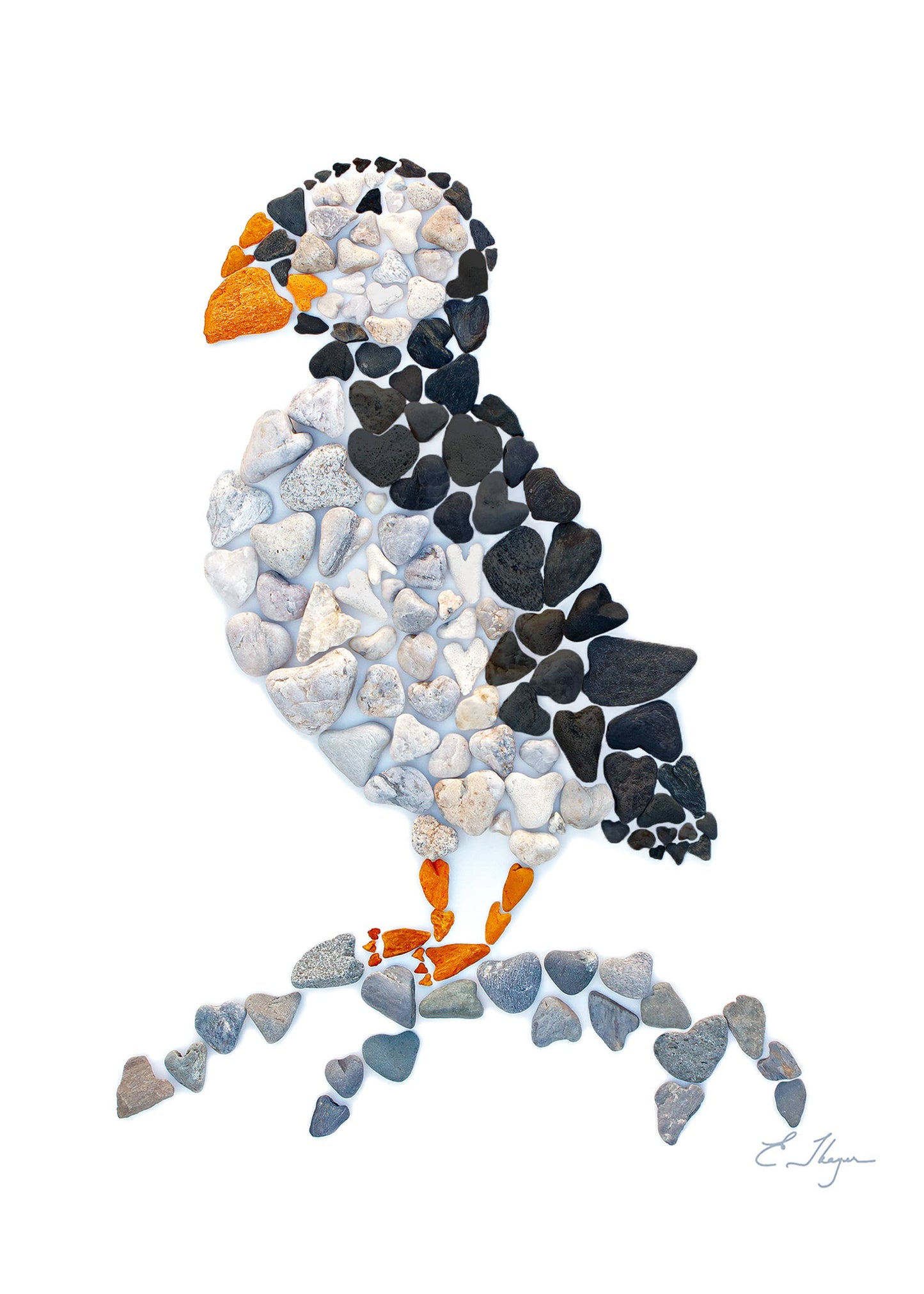Puffin magnet