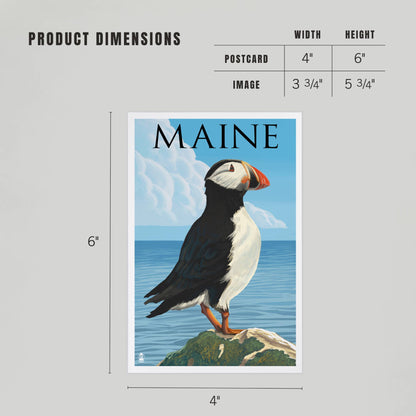 PREMIUM POSTCARDS Maine, Puffin on Rock Scene