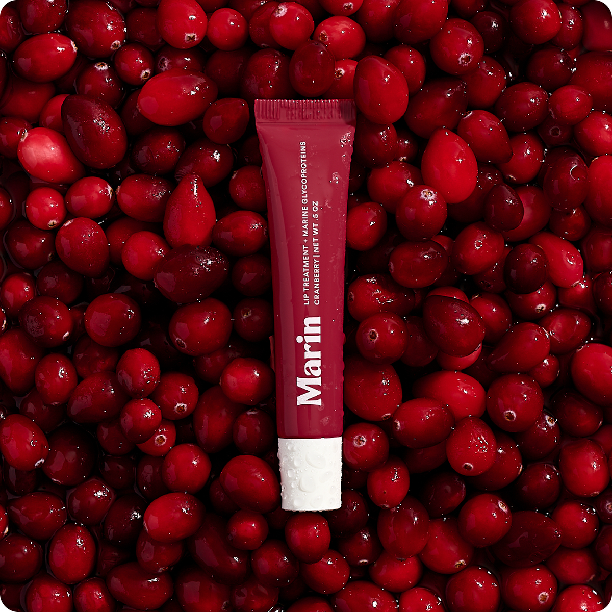 Tinted Lip Treatment - Cranberry