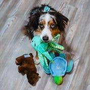 Clean Earth Recycled Plush Dog Toys - 100% Sustainable