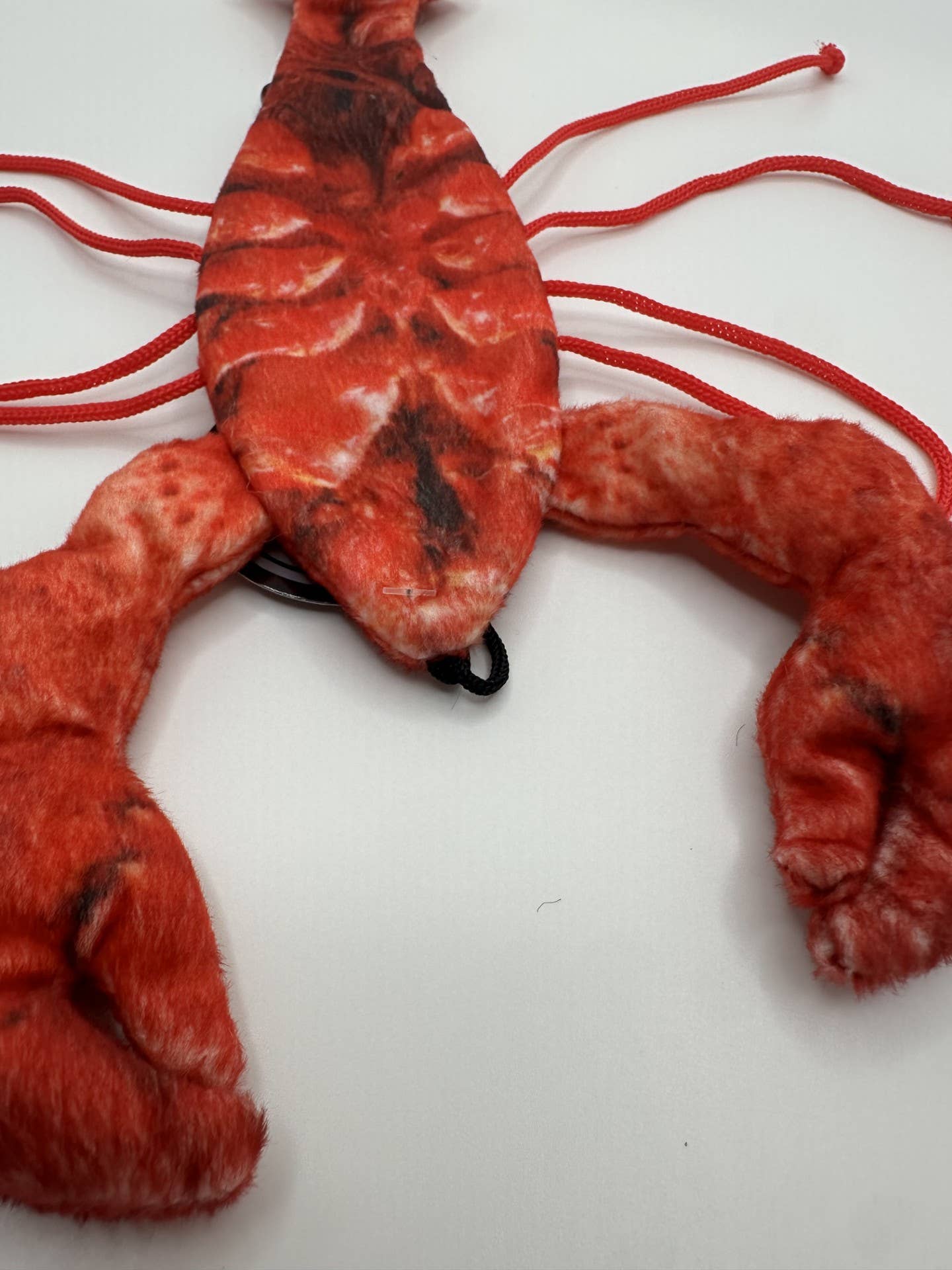 Cat Toy - Lobster