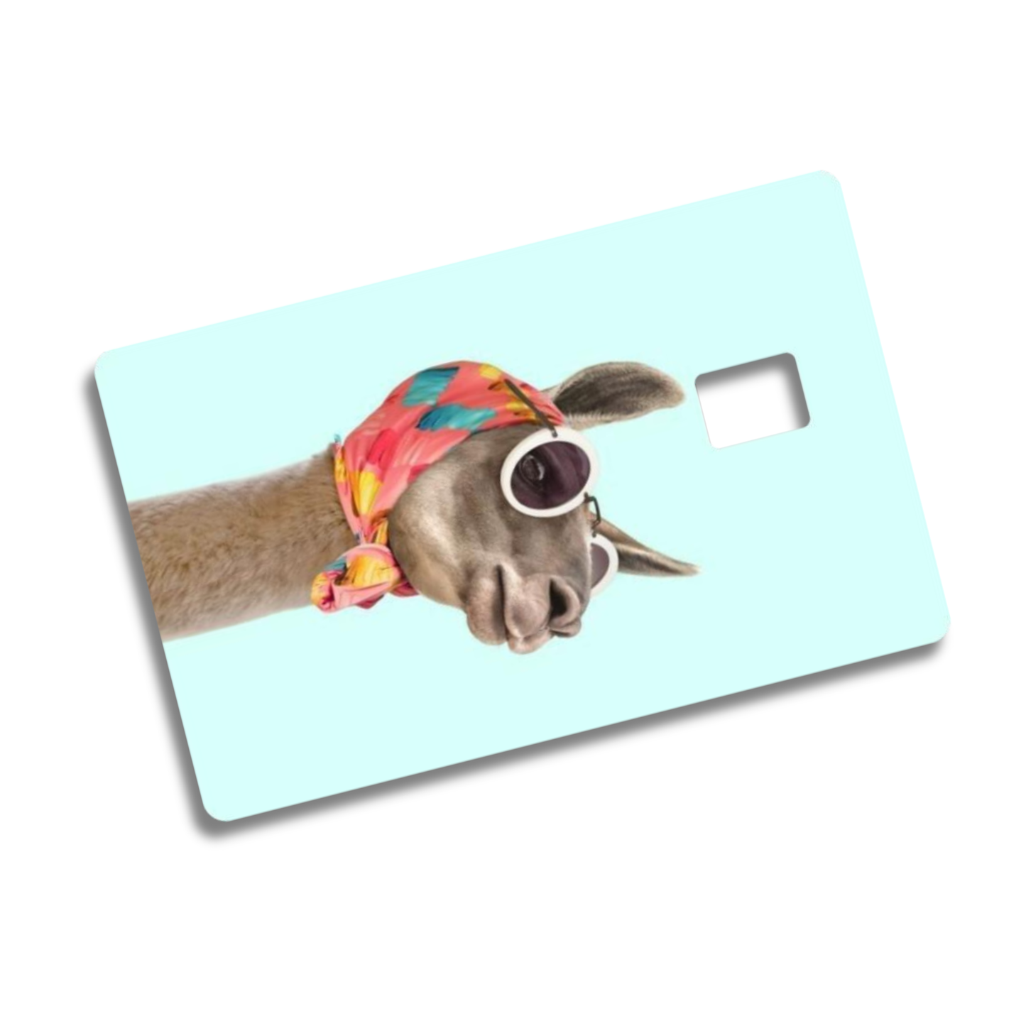 Whimsical Credit Card Skins