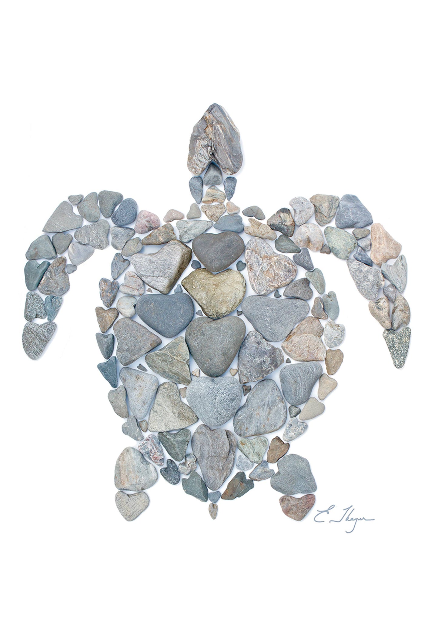 Coastal magnets | Turtle magnets