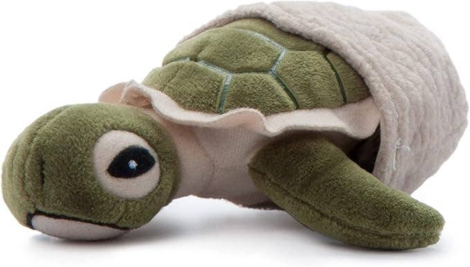 5" (12cm) Hatchling Baby Turtle Sea Life
